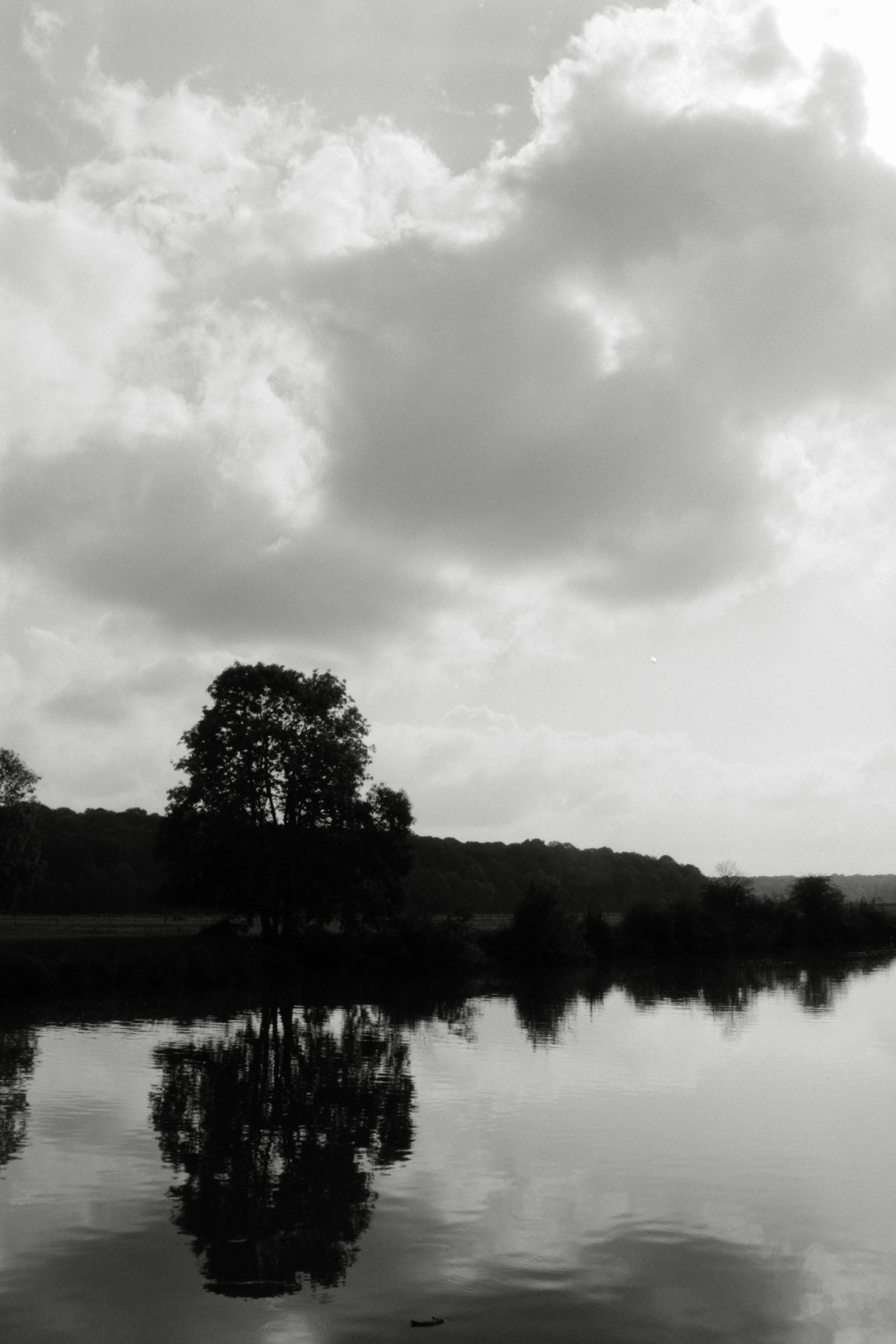 AHP F1990 09 006 sc250506 img16 NLP